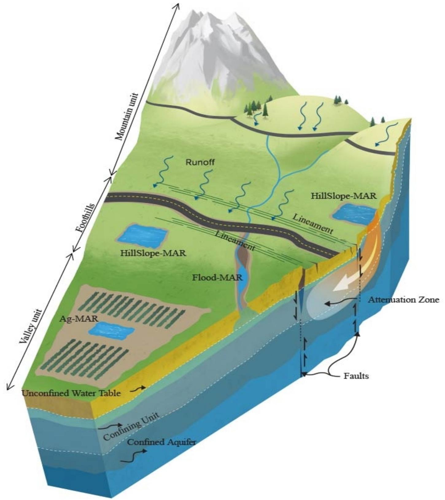 2024-meles_hillslopes.jpg